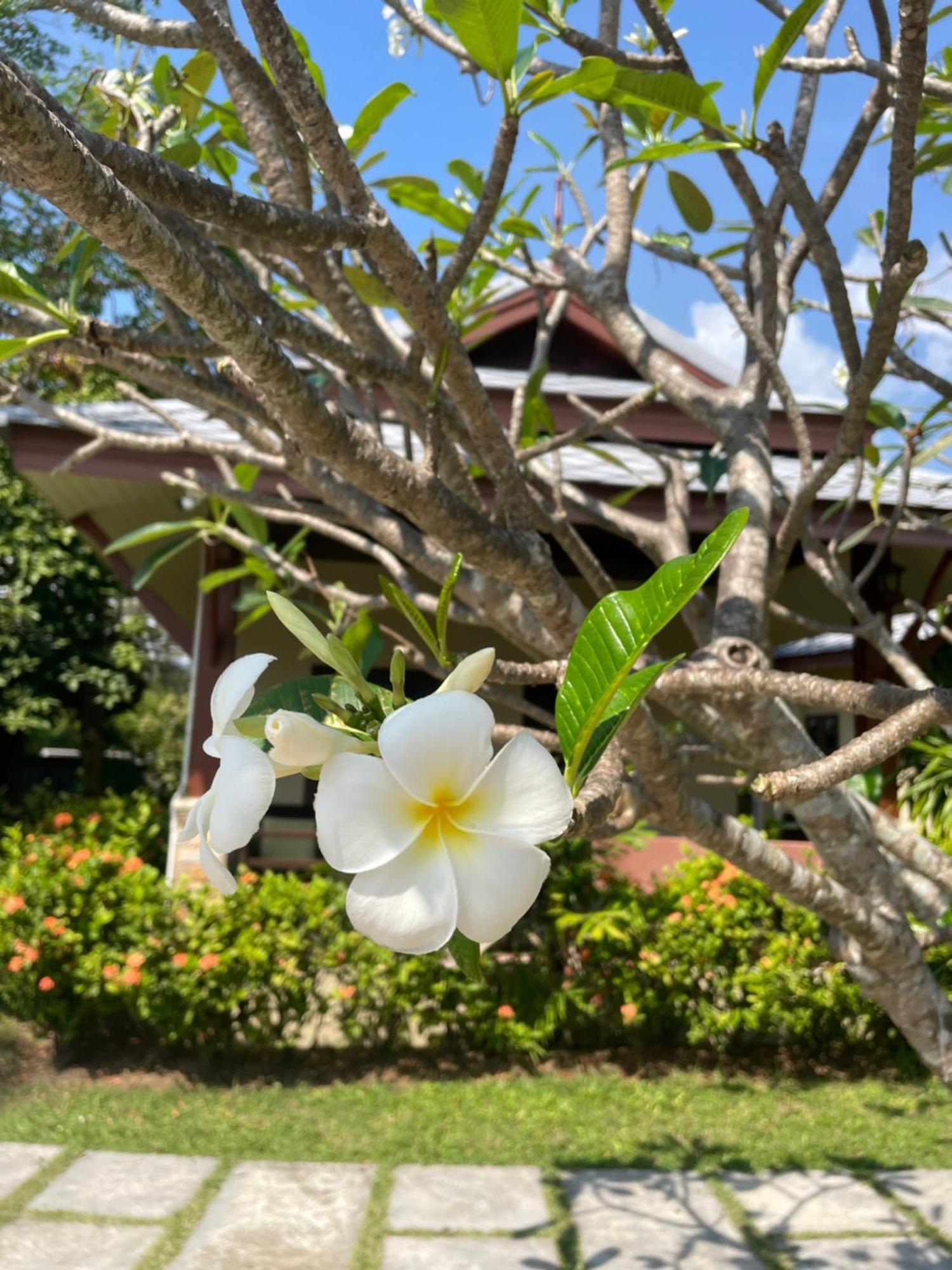 Grand Manita Beach Resort Lamai Beach  Exterior foto